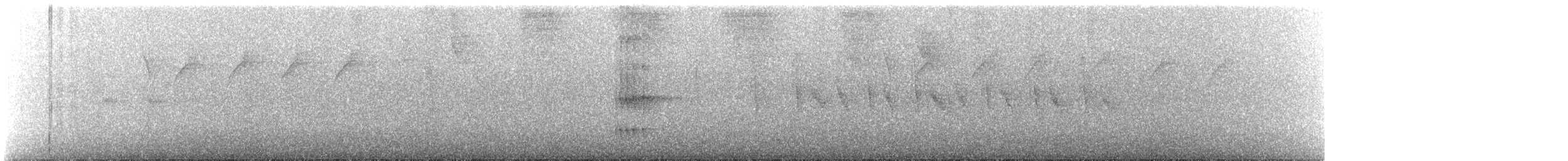 Eye-ringed Tody-Tyrant - ML645652561