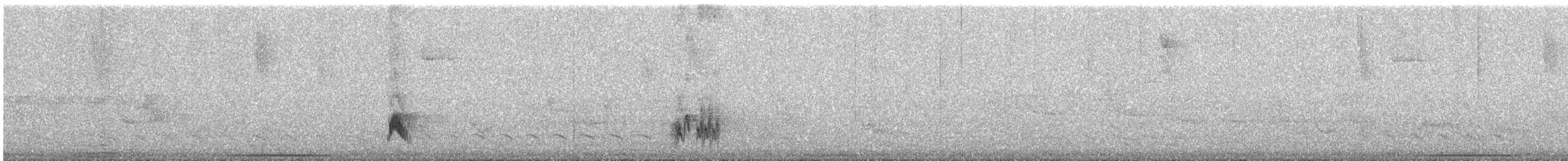 Olivaceous Elaenia - ML645652708