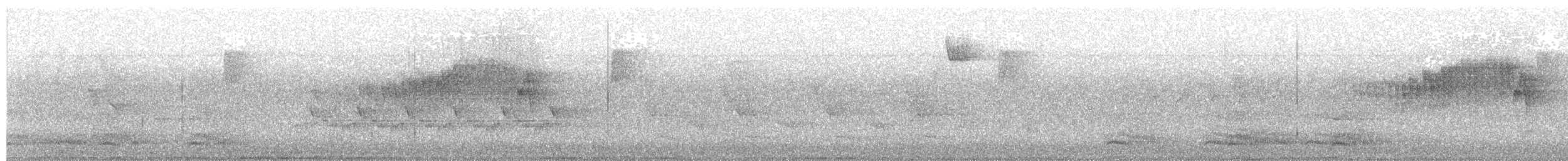 Northern Parula - ML645652969