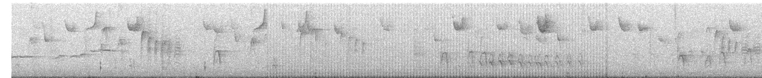 Carolina x Black-capped Chickadee (hybrid) - ML645653047