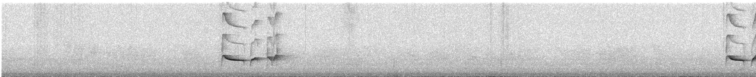 Greenish Schiffornis - ML645653706