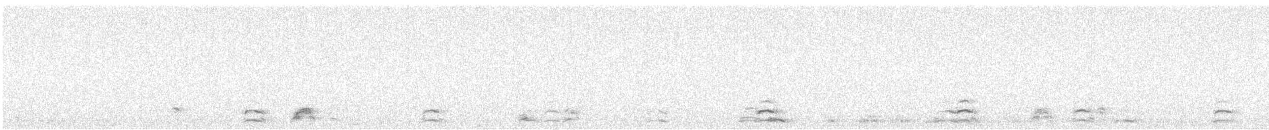 Snow Goose - ML645653861