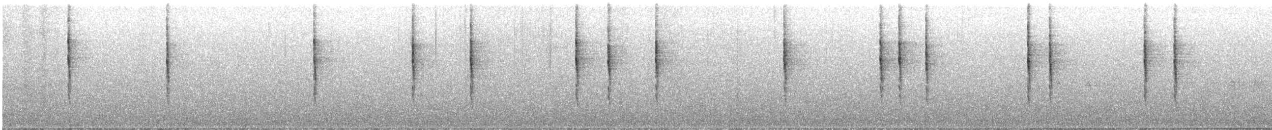 Pacific Wren - ML645653992