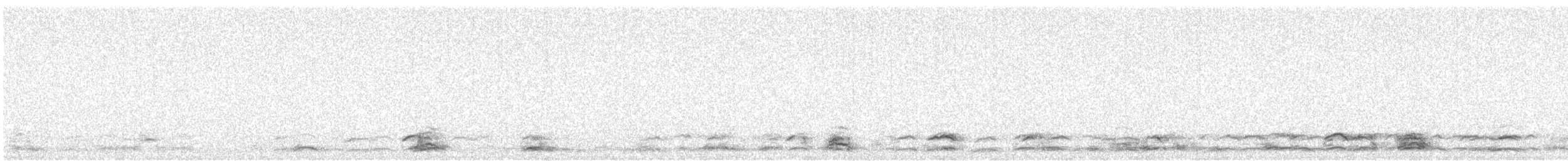 Snow Goose - ML645654064