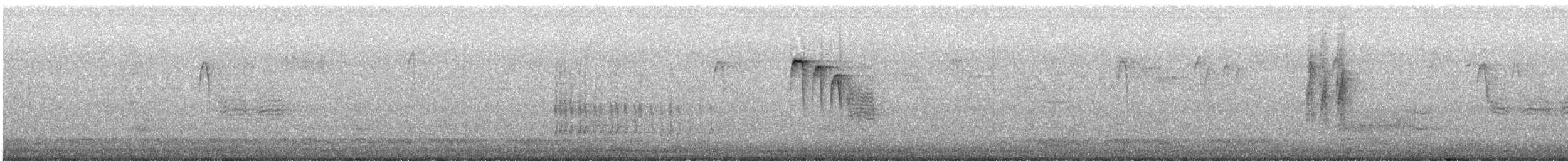 Belted Kingfisher - ML645654151