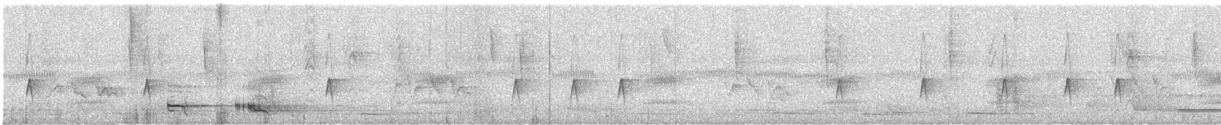 Blackish Pewee - ML645654676