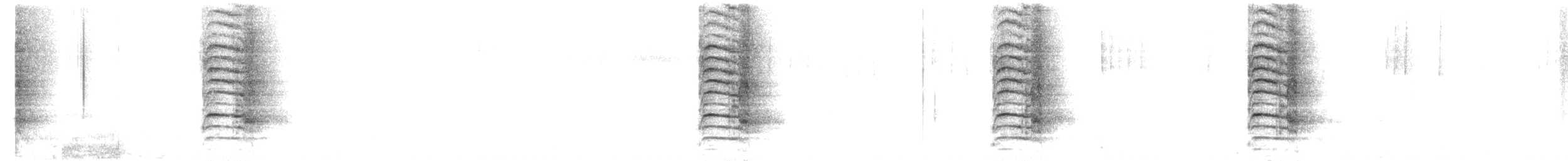 アオカケス - ML645654960