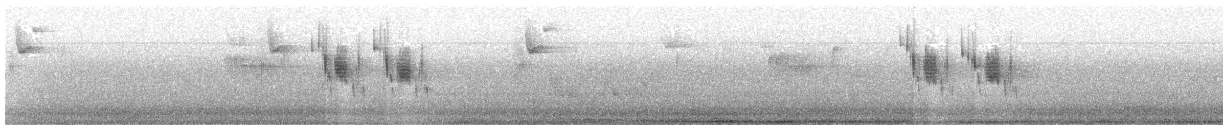 Carolina Chickadee - ML645654988