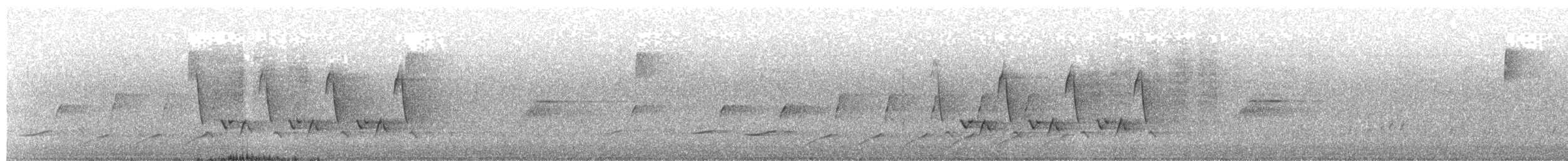 Carolina Wren - ML645655001