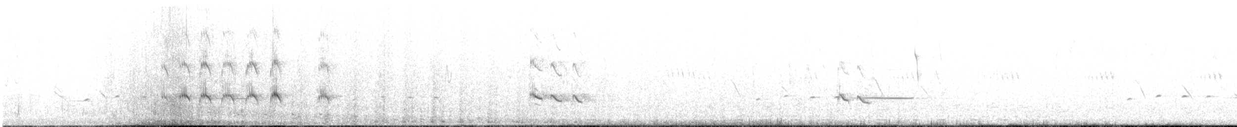 Archibebe Claro - ML645655232