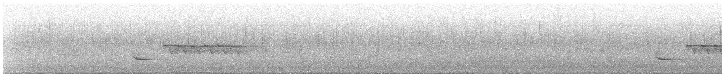 Toquí Flanquirrufo - ML645655360