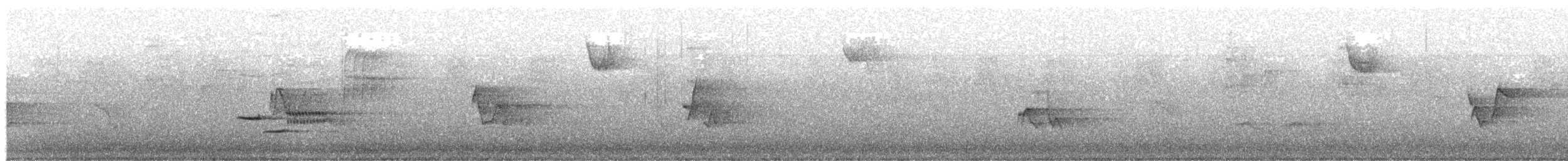 Zorzalito Maculado - ML645655647