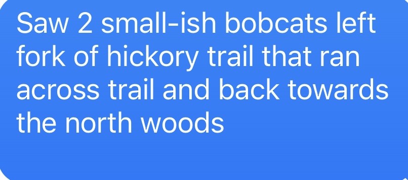 Animals - ML645655853