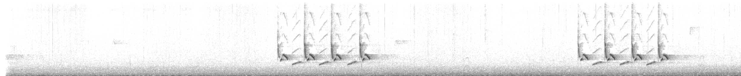 Carolina Wren - ML645656143