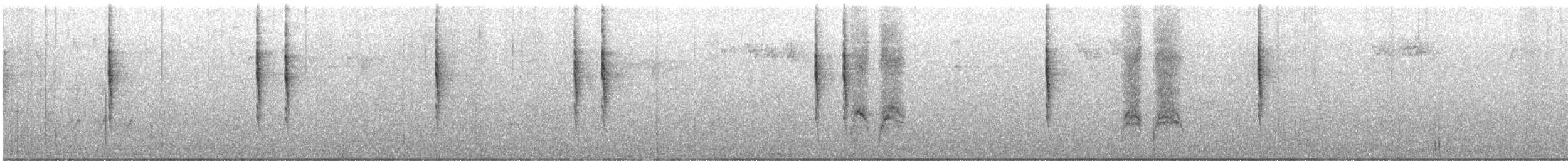 Pacific Wren - ML645656534