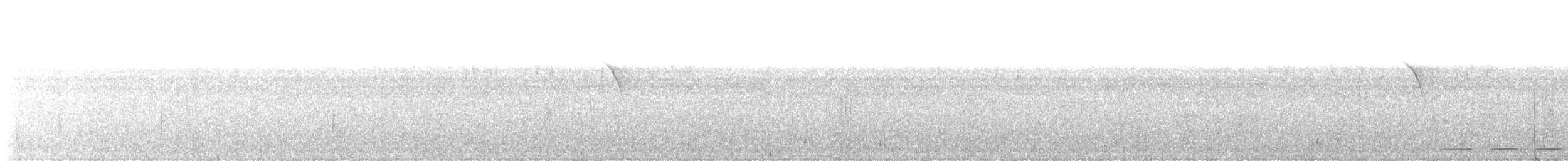 Grallaire grand-beffroi - ML645656764