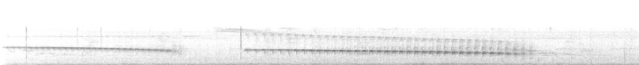 Alapi à sourcils blancs - ML645656770