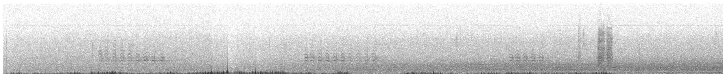 hvitbrystspettmeis - ML645657823