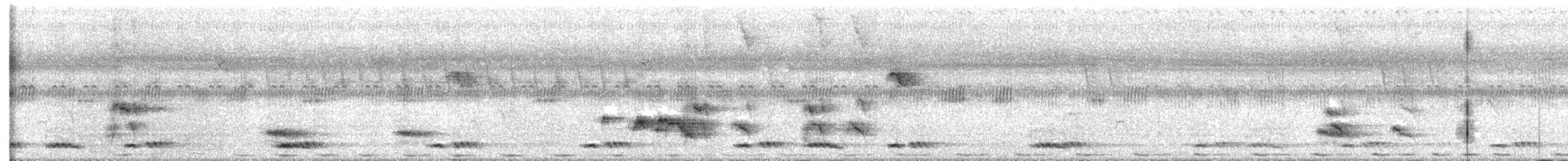 Rose-ringed Parakeet - ML645658197