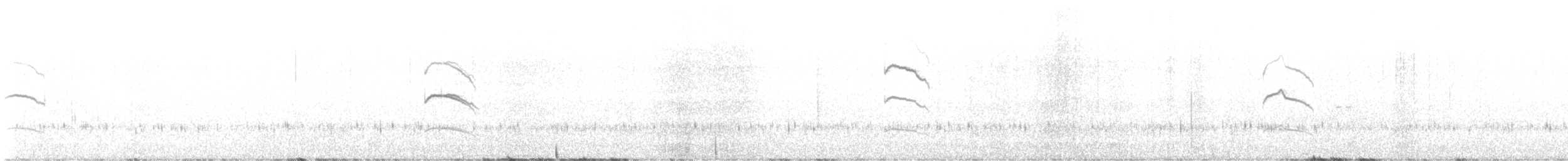 Many-striped Canastero - ML645658211