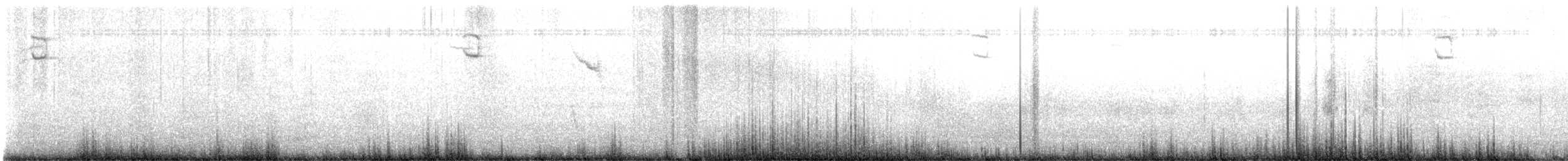 Nelson's Sparrow - ML645658298