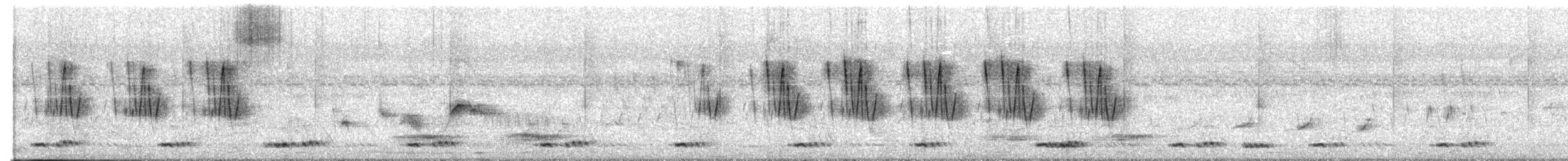 Jungle Prinia - ML645658435