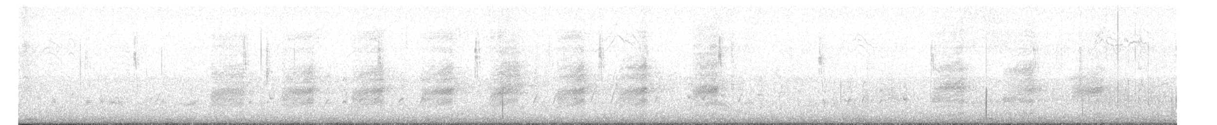 Long-tailed Shrike - ML645658487