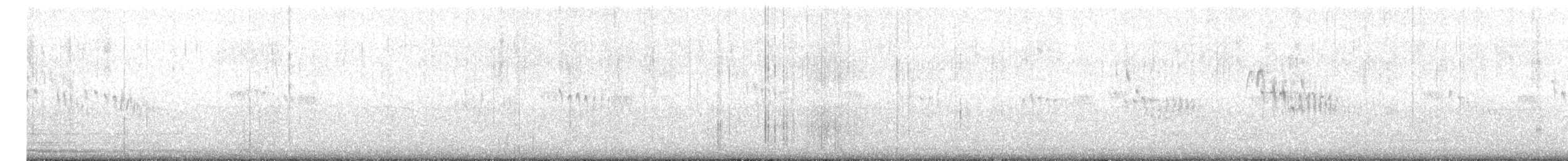 Little Swift - ML645658579