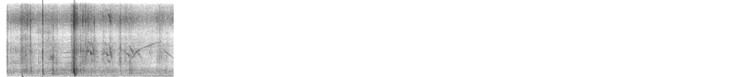 ホンセイインコ - ML645658589