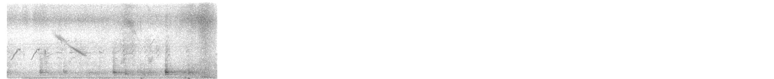 オオハクセキレイ - ML645658599