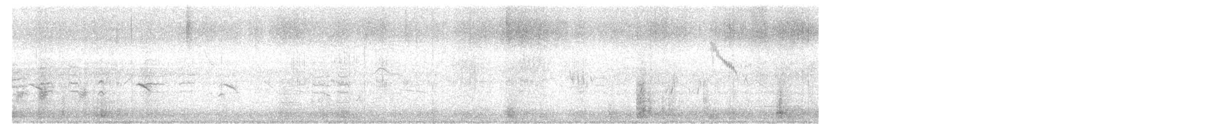 ニシツメナガセキレイ - ML645658615