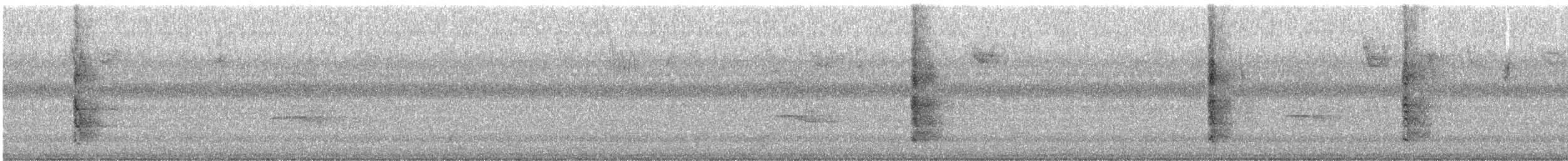 Red-bellied Woodpecker - ML645658656