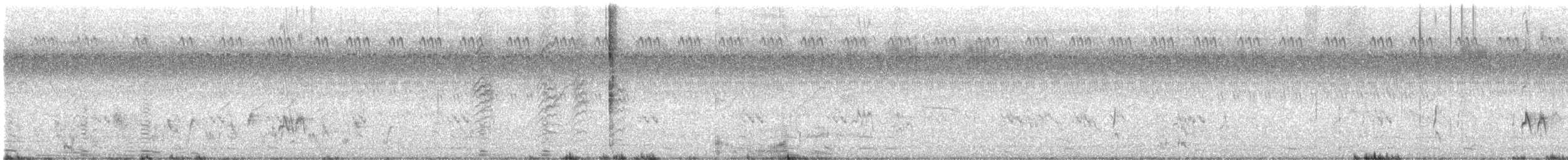 Ashy Woodswallow - ML645658825