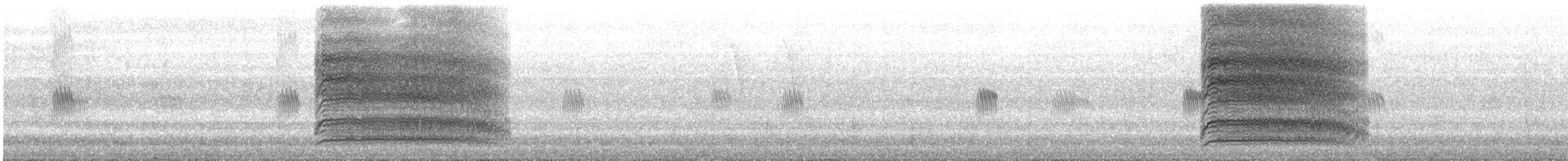 Black Caracara - ML645658898