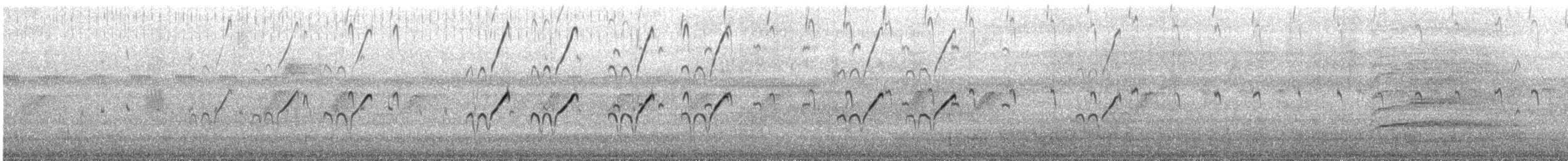 Spotted Sandpiper - ML645658910