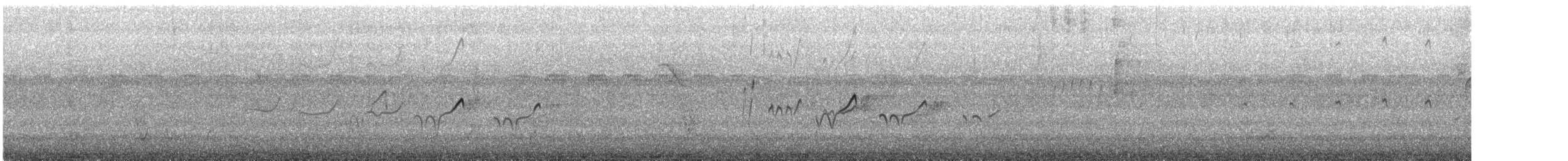 Пятнистый перевозчик - ML645659023