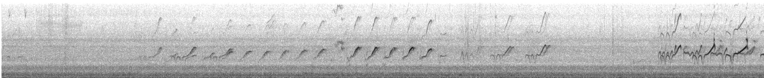 Пятнистый перевозчик - ML645659045