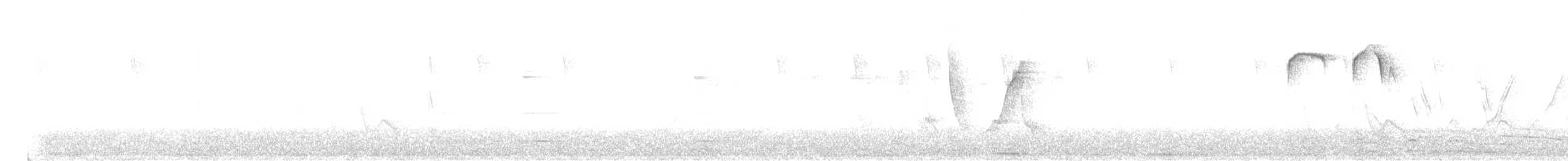 Tawny-rumped Tyrannulet - ML645659316