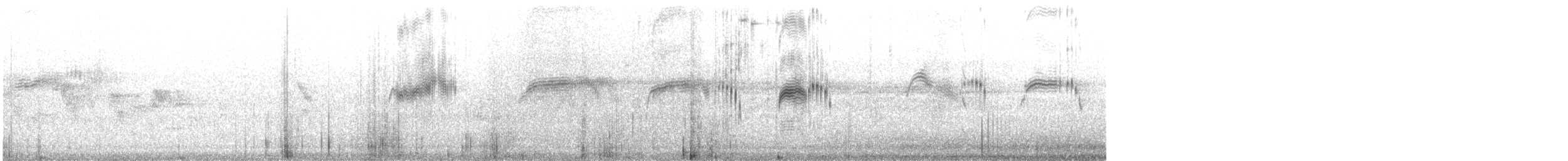 Чёрный стриж - ML645659435