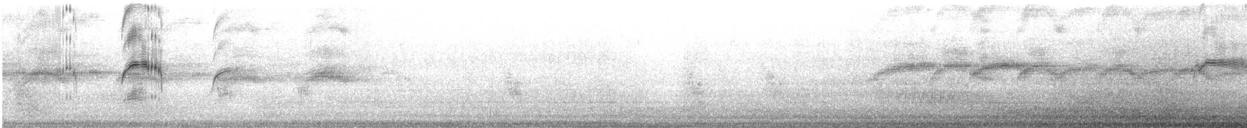 Чёрный стриж - ML645659436