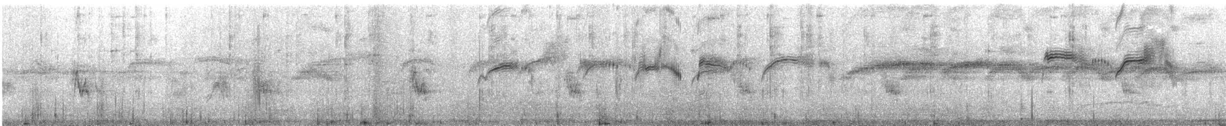 Чёрный стриж - ML645659437