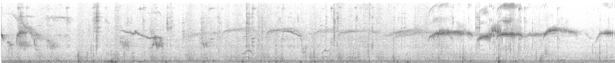 Чёрный стриж - ML645659439