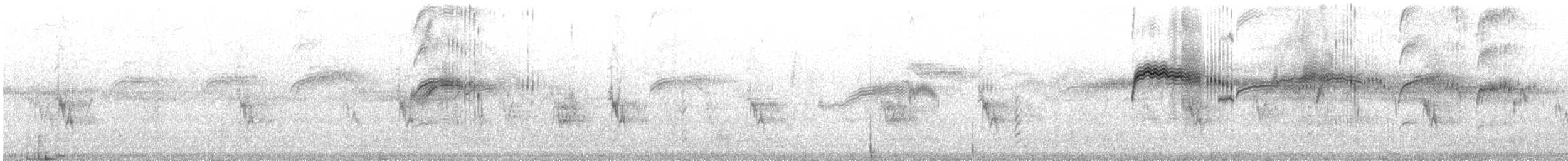 Чёрный стриж - ML645659440