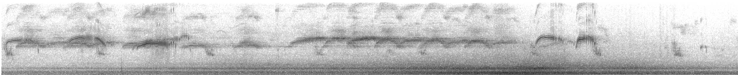 Чёрный стриж - ML645659441