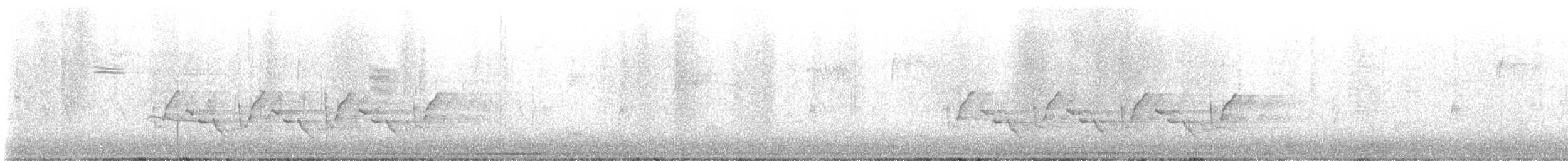 Каролинский крапивник - ML645659754