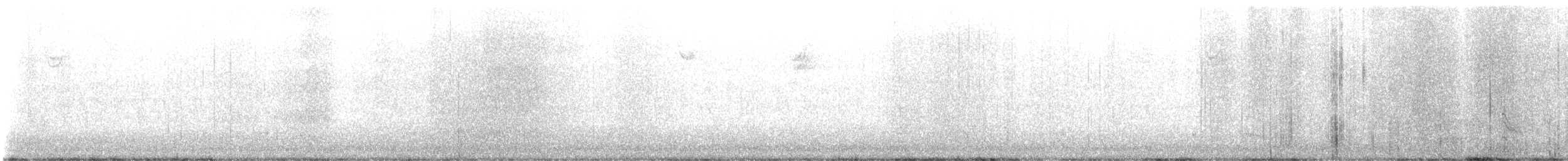 Каролинский дятел - ML645659797