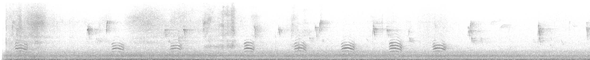 Каролинский поползень - ML645659841