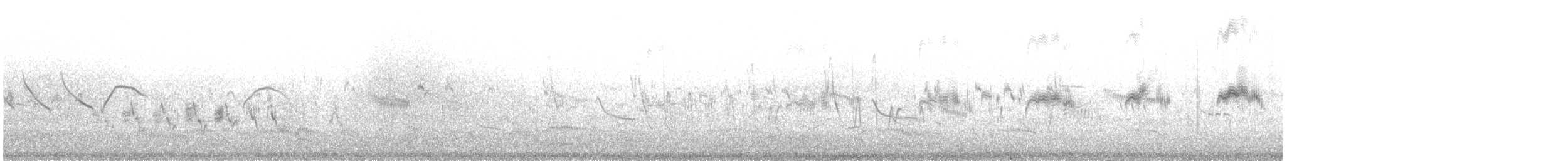 Чёрный стриж - ML645659931