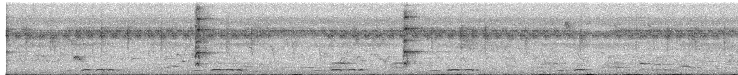 Laughing Dove - ML645660433