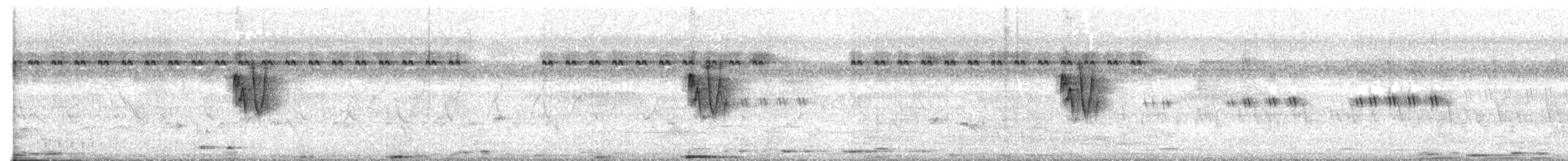 Pouillot du Caucase - ML645660526